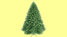 Click to view detail
